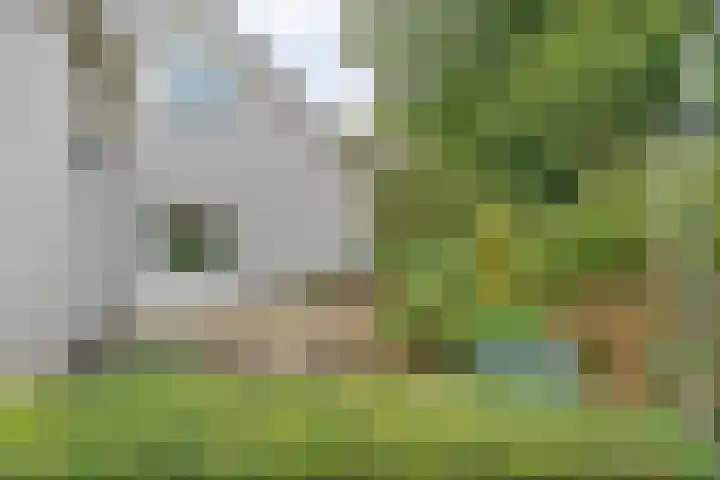 Elskamp 34 Dalfsen thumbnail 37