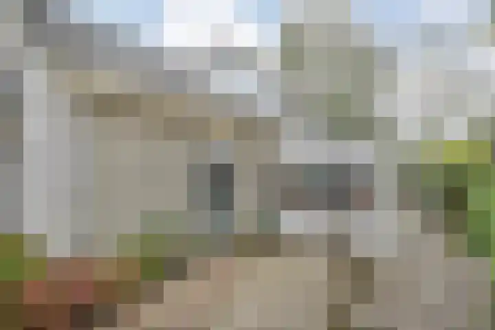 Elskamp 34 Dalfsen thumbnail 38