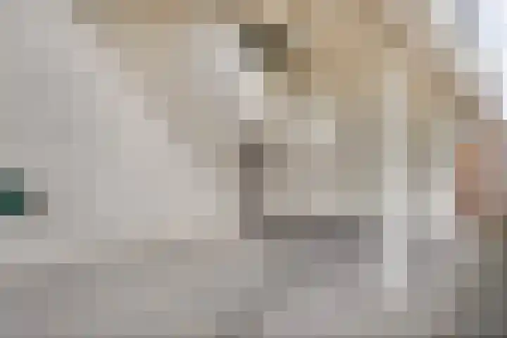 Elskamp 34 Dalfsen thumbnail 39