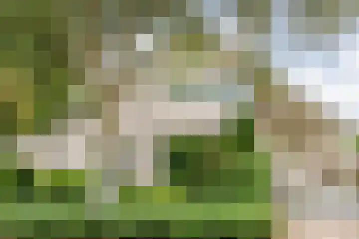 Elskamp 34 Dalfsen thumbnail 4