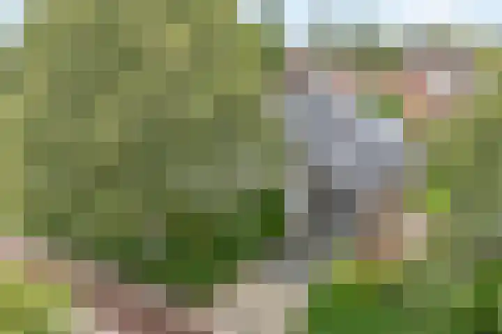 Elskamp 34 Dalfsen thumbnail 41