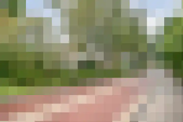 Elskamp 34 Dalfsen thumbnail 42