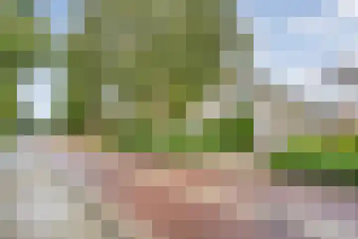Elskamp 34 Dalfsen thumbnail 43