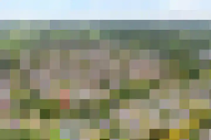 Elskamp 34 Dalfsen thumbnail 44