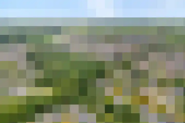 Elskamp 34 Dalfsen thumbnail 45