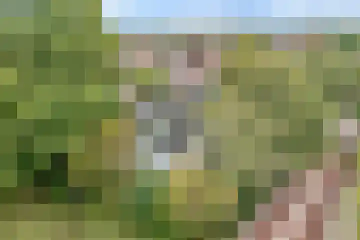 Elskamp 34 Dalfsen thumbnail 46
