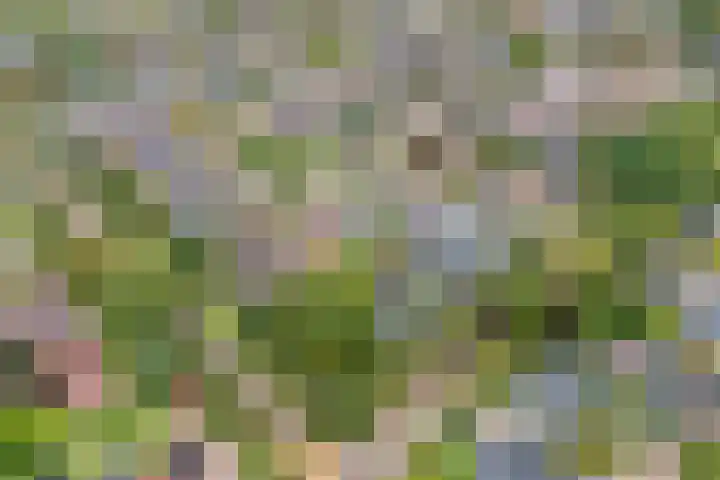 Elskamp 34 Dalfsen thumbnail 47