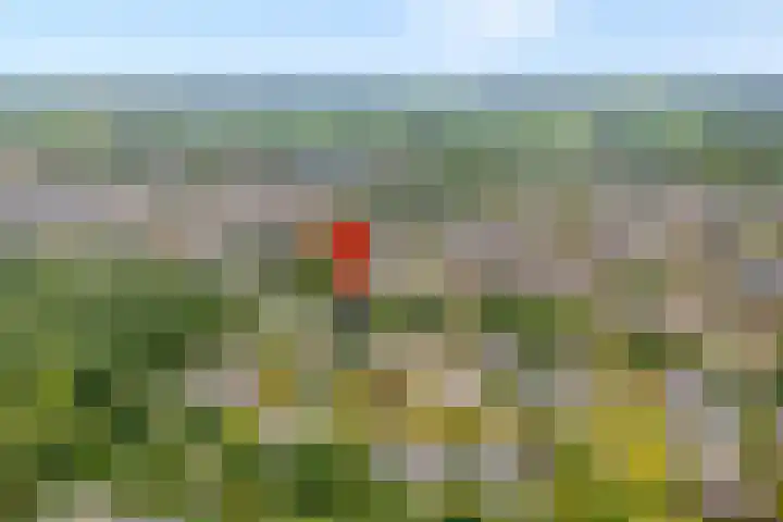 Elskamp 34 Dalfsen thumbnail 48