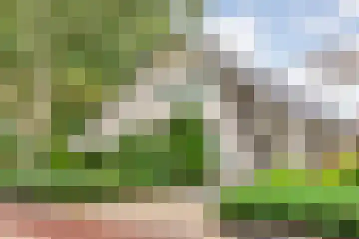 Elskamp 34 Dalfsen thumbnail 5