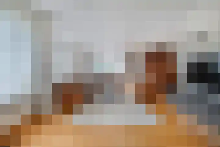 Elskamp 34 Dalfsen thumbnail 7