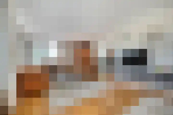 Elskamp 34 Dalfsen thumbnail 8
