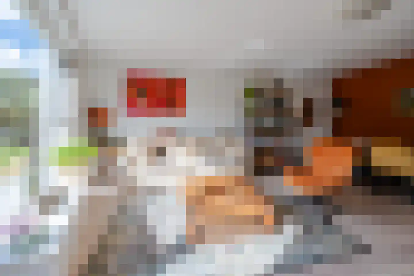 Elskamp 6 Odijk thumbnail 11