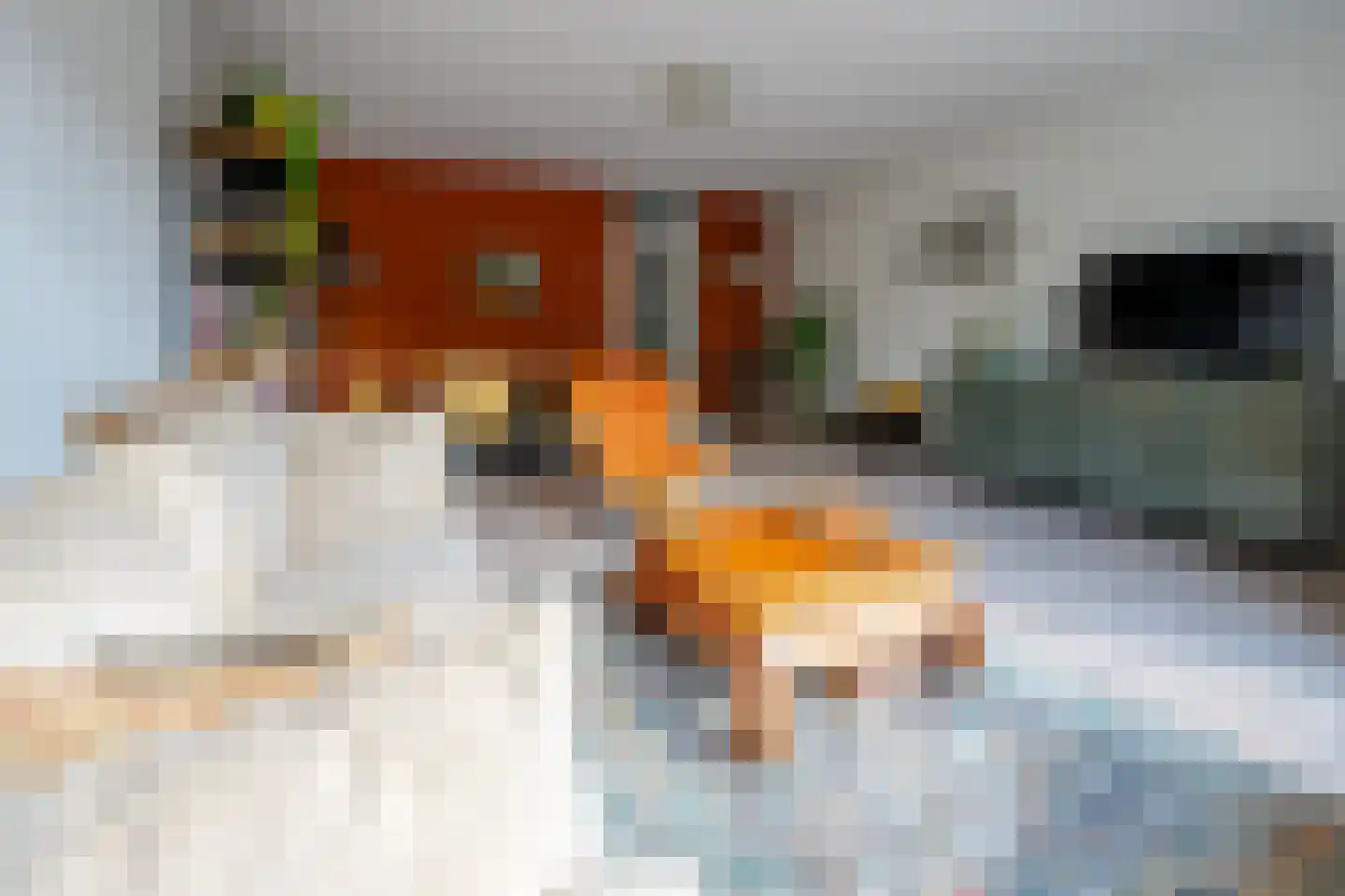 Elskamp 6 Odijk thumbnail 13