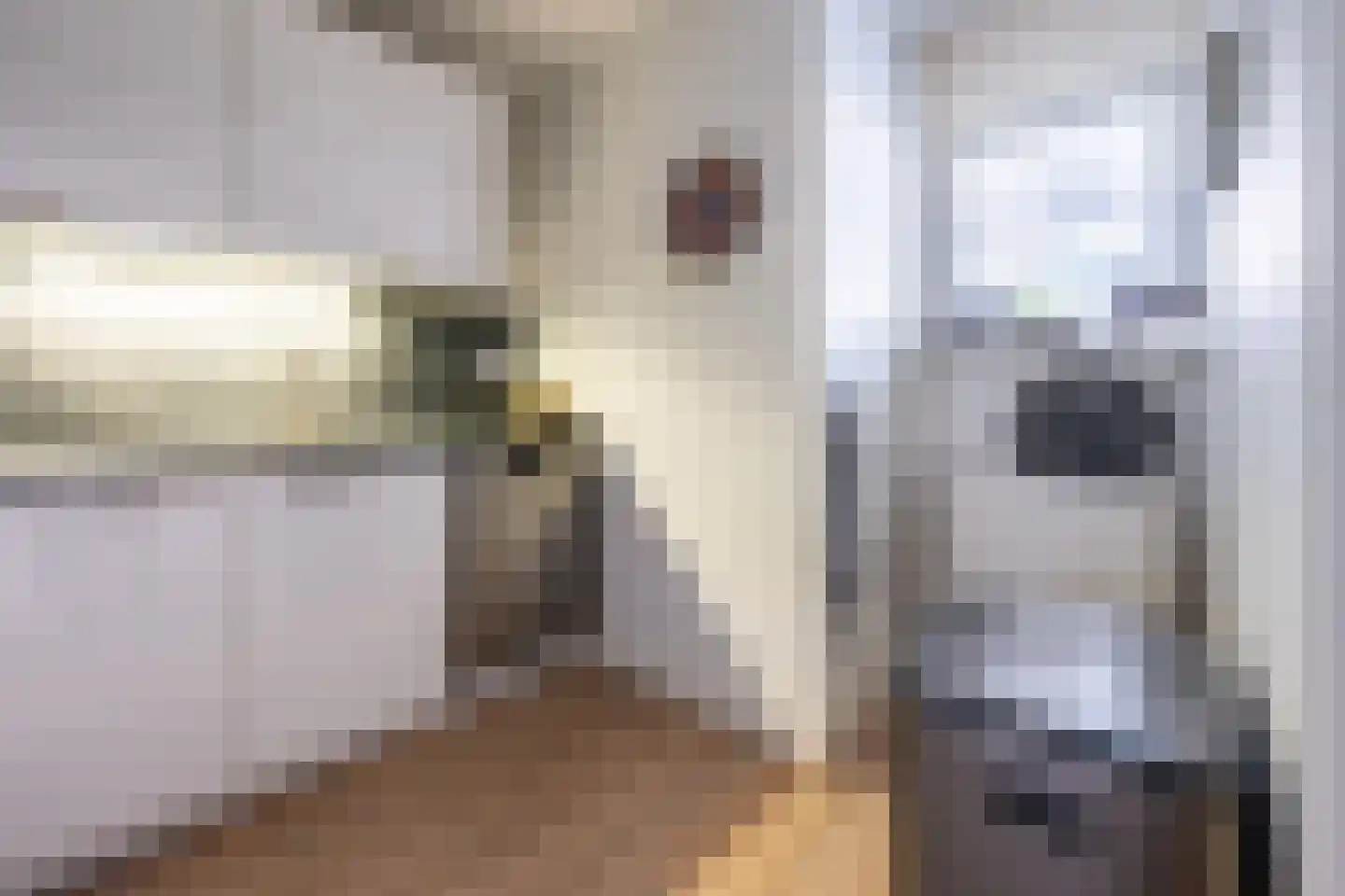 Elskamp 6 Odijk thumbnail 15