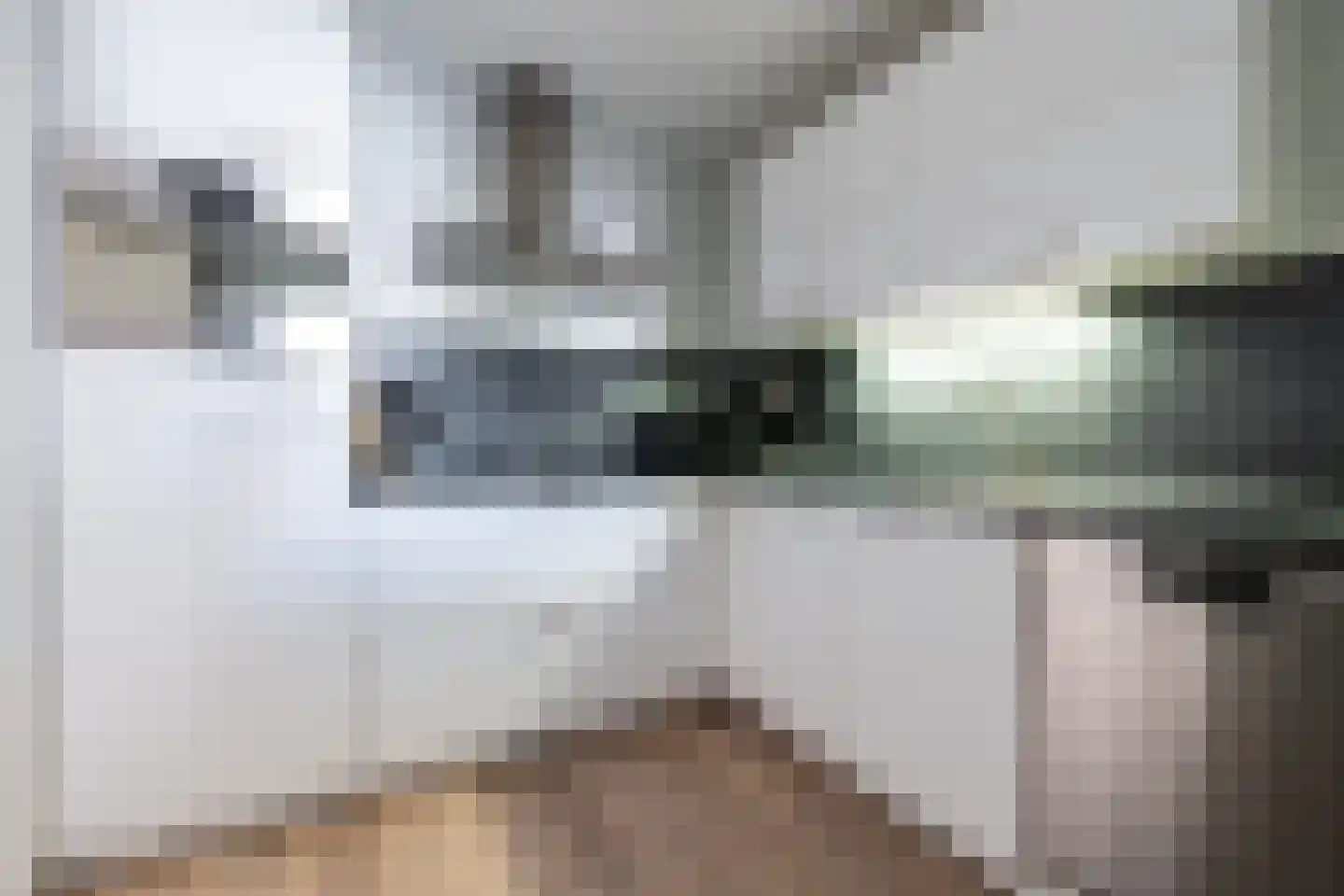 Elskamp 6 Odijk thumbnail 16
