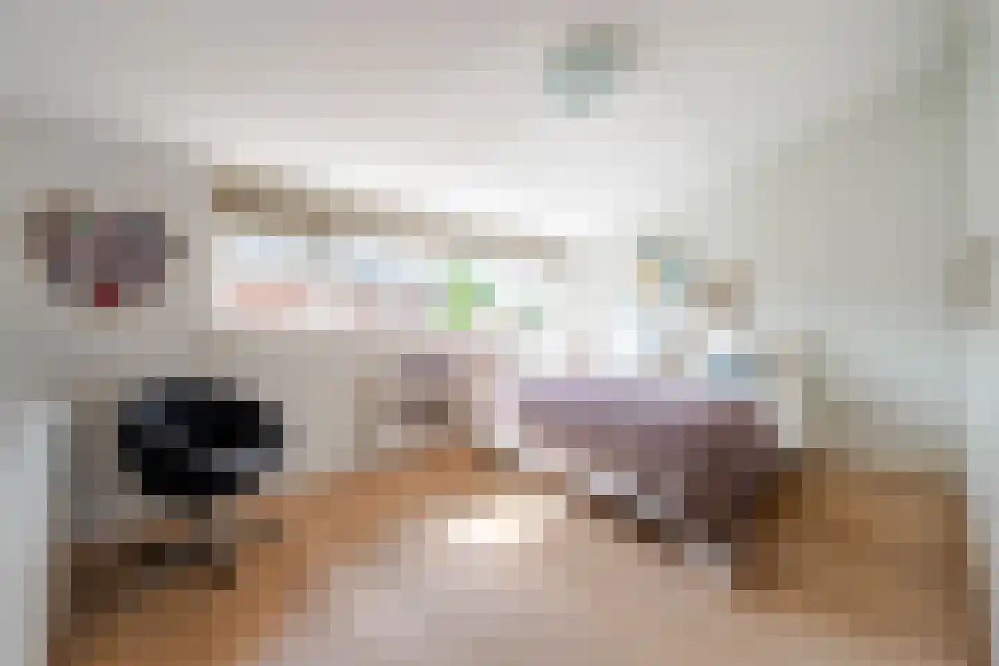 Elskamp 6 Odijk thumbnail 19