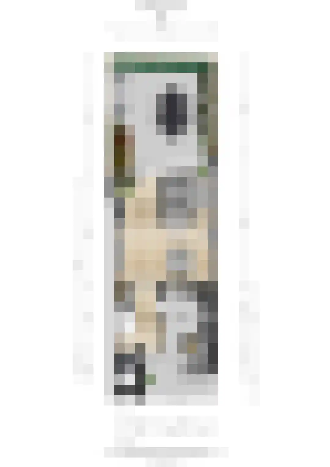 Elskamp 6 Odijk thumbnail 30