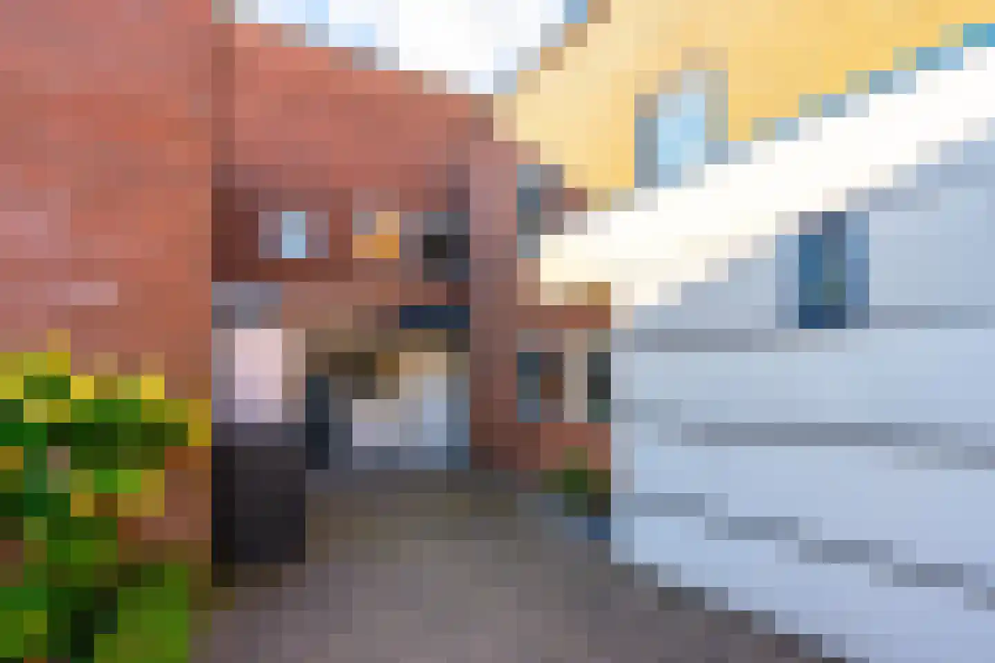 Elskamp 6 Odijk thumbnail 6