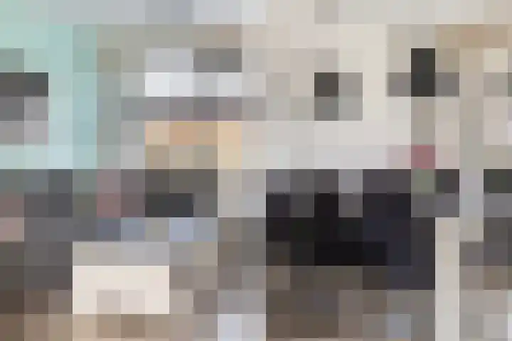 Elskamp 7 Dalfsen thumbnail 10