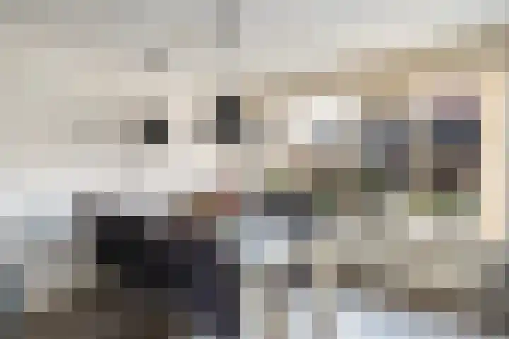 Elskamp 7 Dalfsen thumbnail 11
