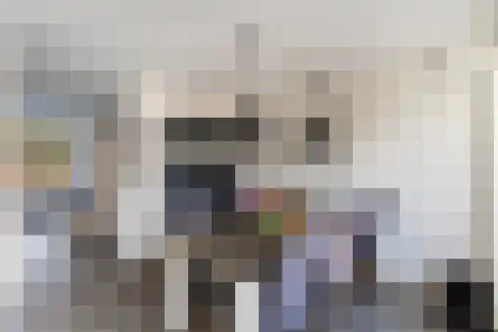 Elskamp 7 Dalfsen thumbnail 12
