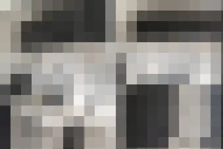 Elskamp 7 Dalfsen thumbnail 15