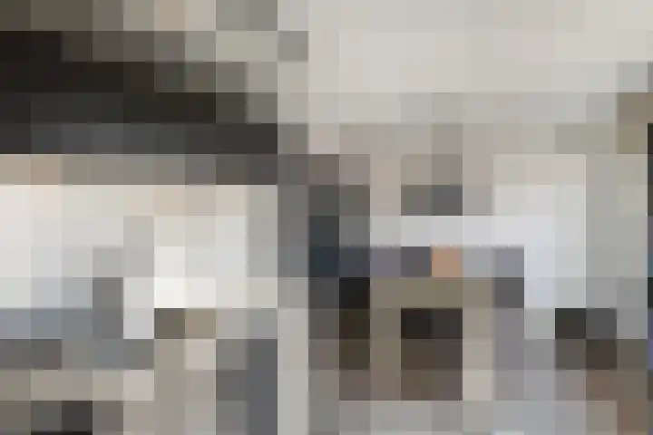 Elskamp 7 Dalfsen thumbnail 16