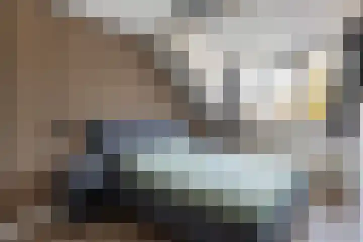 Elskamp 7 Dalfsen thumbnail 20