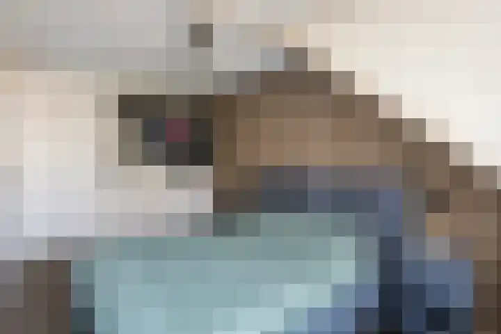 Elskamp 7 Dalfsen thumbnail 21