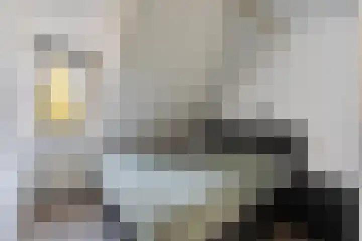 Elskamp 7 Dalfsen thumbnail 22