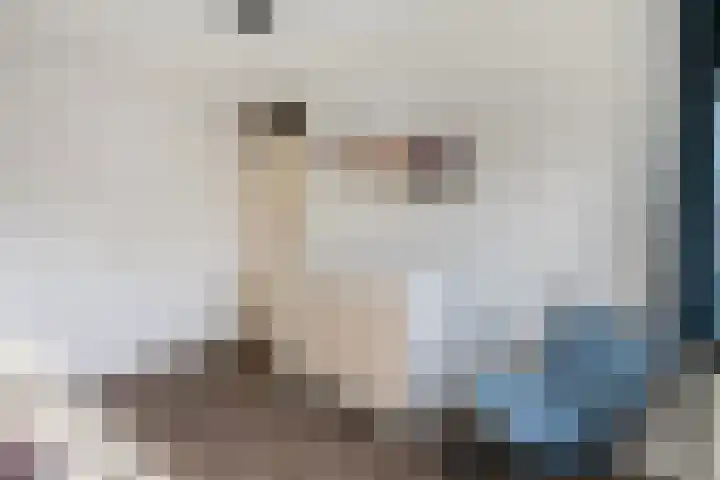 Elskamp 7 Dalfsen thumbnail 25