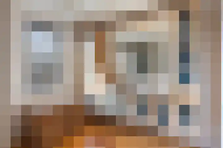 Elskamp 7 Dalfsen thumbnail 27