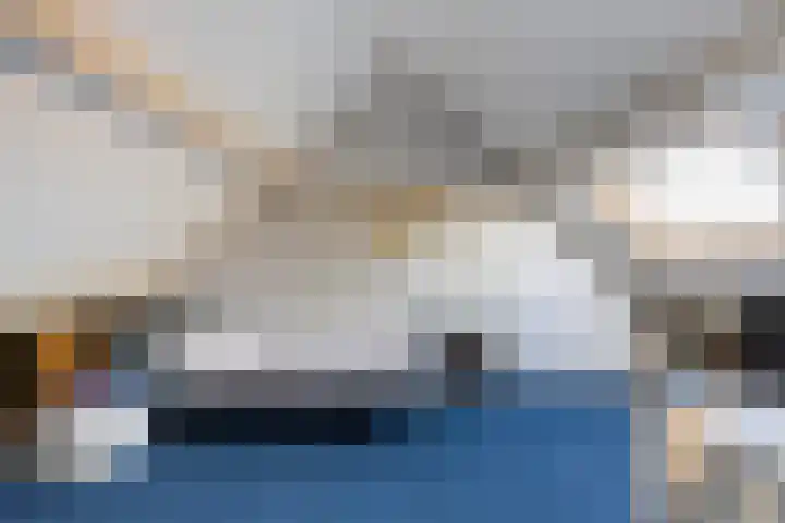 Elskamp 7 Dalfsen thumbnail 28