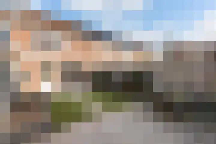 Elskamp 7 Dalfsen thumbnail 30
