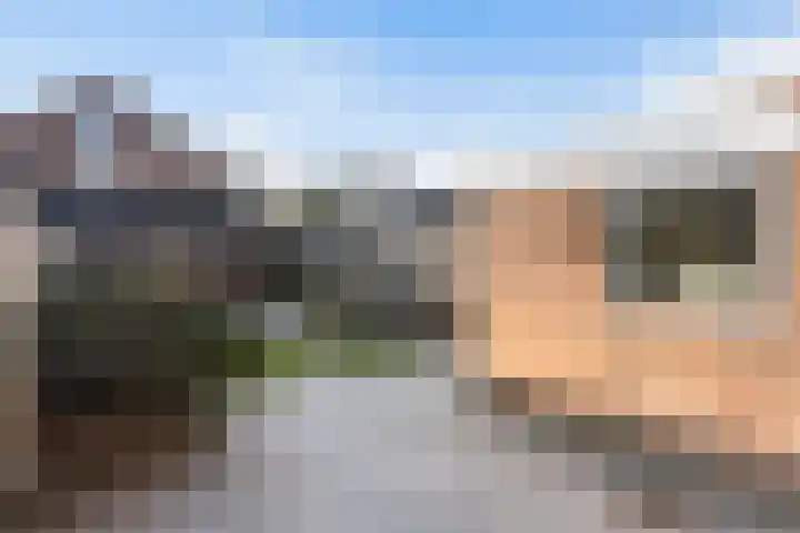 Elskamp 7 Dalfsen thumbnail 32