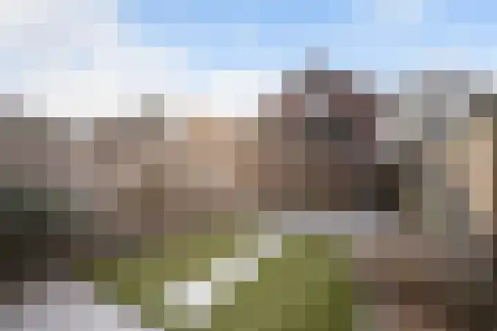 Elskamp 7 Dalfsen thumbnail 33