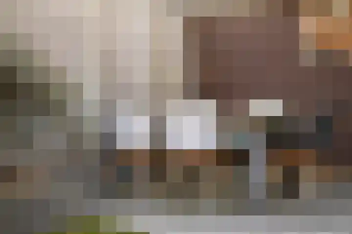 Elskamp 7 Dalfsen thumbnail 34