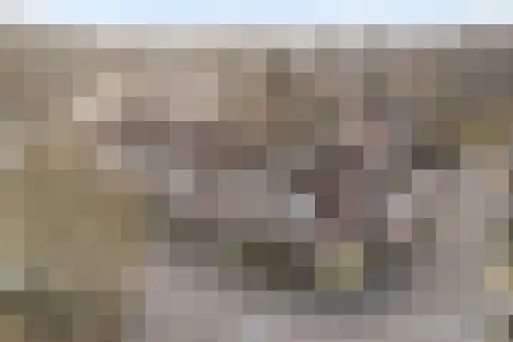 Elskamp 7 Dalfsen thumbnail 36