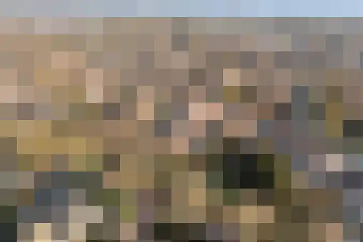 Elskamp 7 Dalfsen thumbnail 37