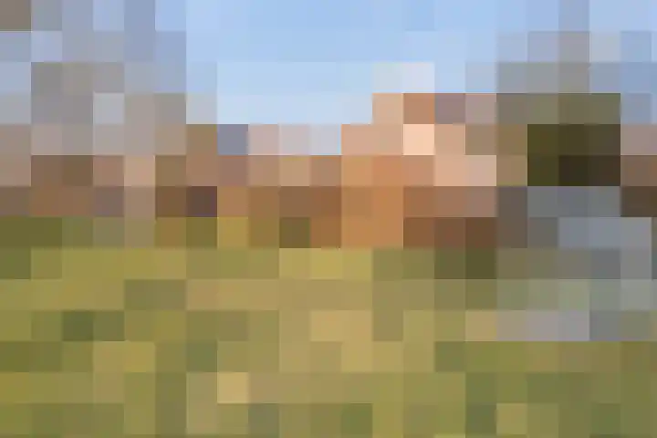 Elskamp 7 Dalfsen thumbnail 38