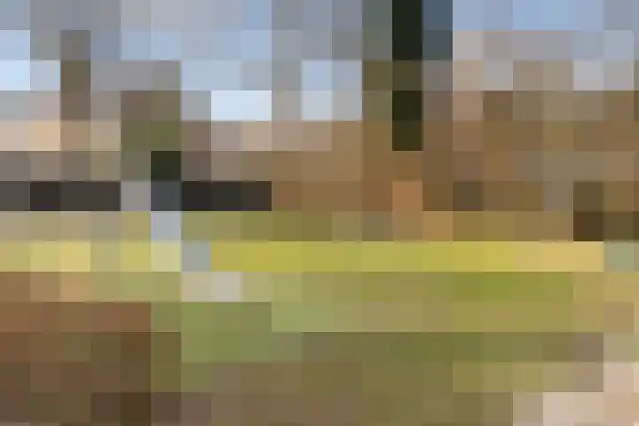 Elskamp 7 Dalfsen thumbnail 39
