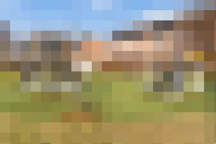 Elskamp 7 Dalfsen thumbnail 40