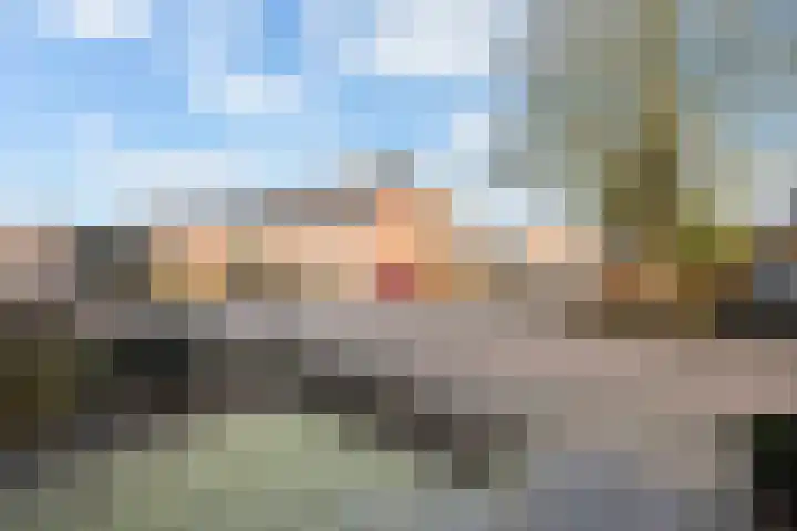 Elskamp 7 Dalfsen thumbnail 5
