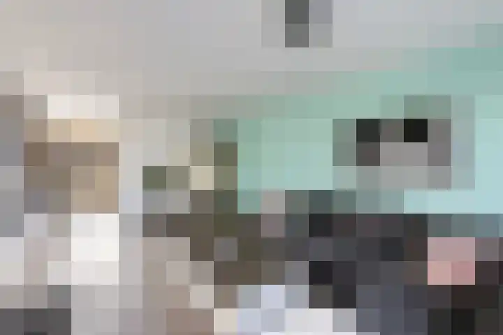Elskamp 7 Dalfsen thumbnail 8