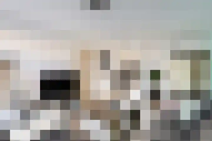 Elskamp 7 Dalfsen thumbnail 9