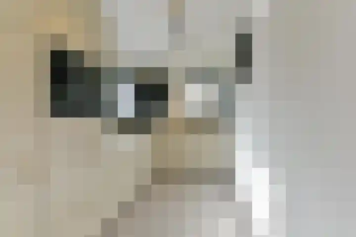 Elskamp 7 Odijk thumbnail 5