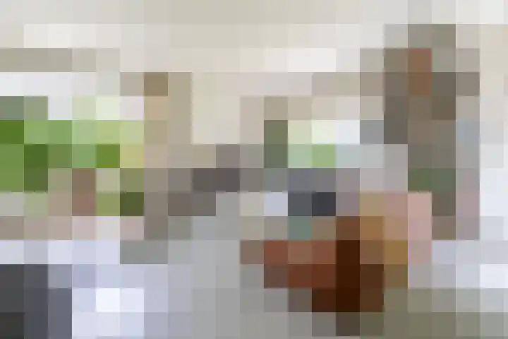 Elskampweg 16 Luttenberg thumbnail 10