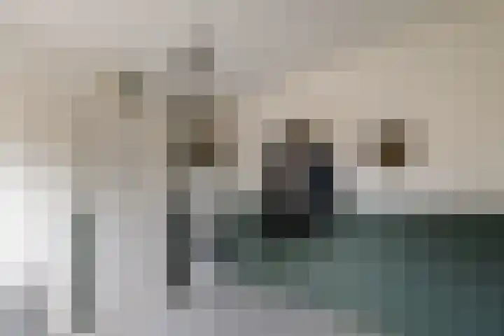 Elskampweg 16 Luttenberg thumbnail 16