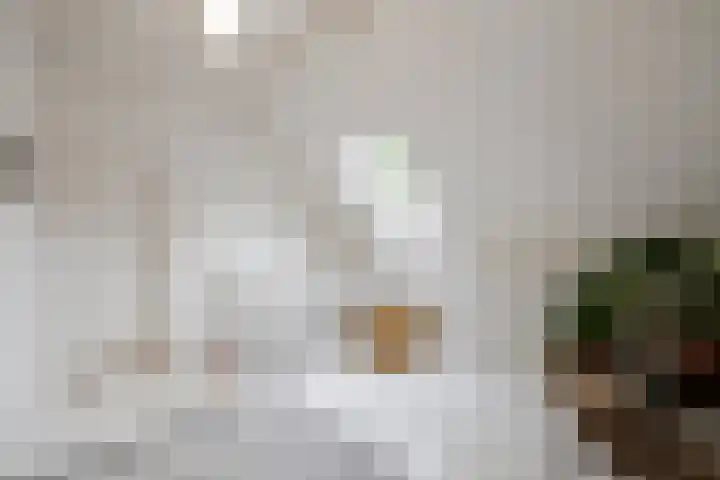 Elskampweg 16 Luttenberg thumbnail 21