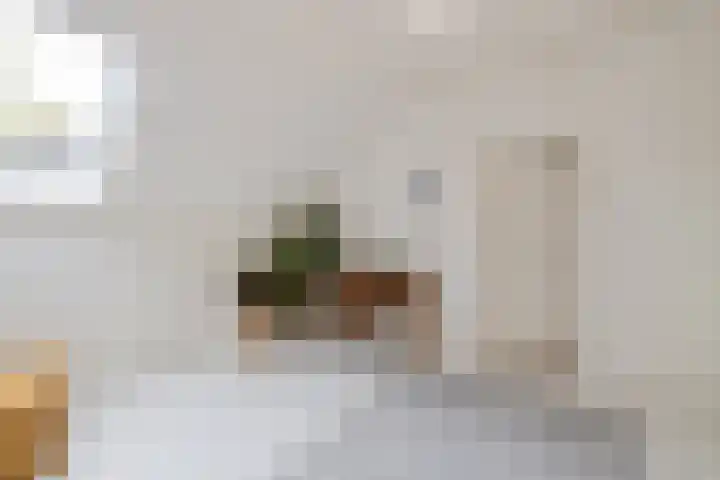 Elskampweg 16 Luttenberg thumbnail 22